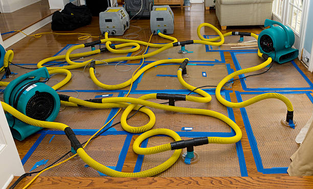 Professional Flood Damage Restoration technician working in Plymouth, WA